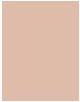 Actual product image Wet n Wild Bare Focus TIntense Skin Perfector 111406E (Fair)