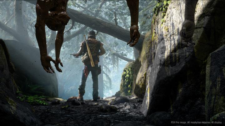 Image du produit Sony Days Gone, PS4 Standard PlayStation 4 (PS4)