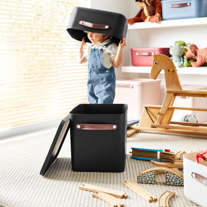 Image du produit Rotho Maloja (40 x 29 x 29.5 cm, 27 l)