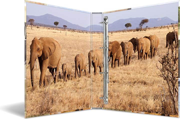 Actual product image HERMA A4 ring binder motif (A4, 35 mm, 1 Piece)