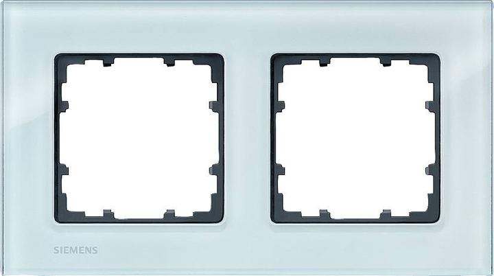 Actual product image Siemens Frame 2f krgn DELTAmiro glass 5TG1202-0