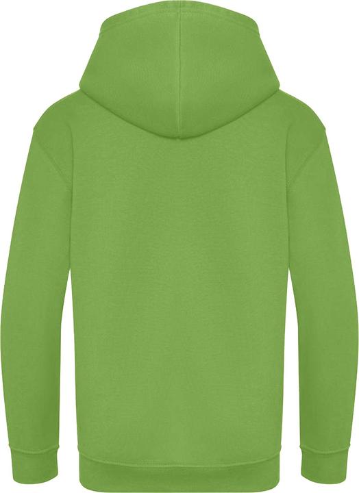 Image du produit Awdis - Sweat à capuche - Enfant (104)