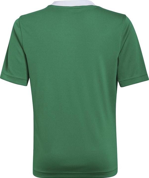 Immagine prodotto adidas Entrada 22 Maglia (140)