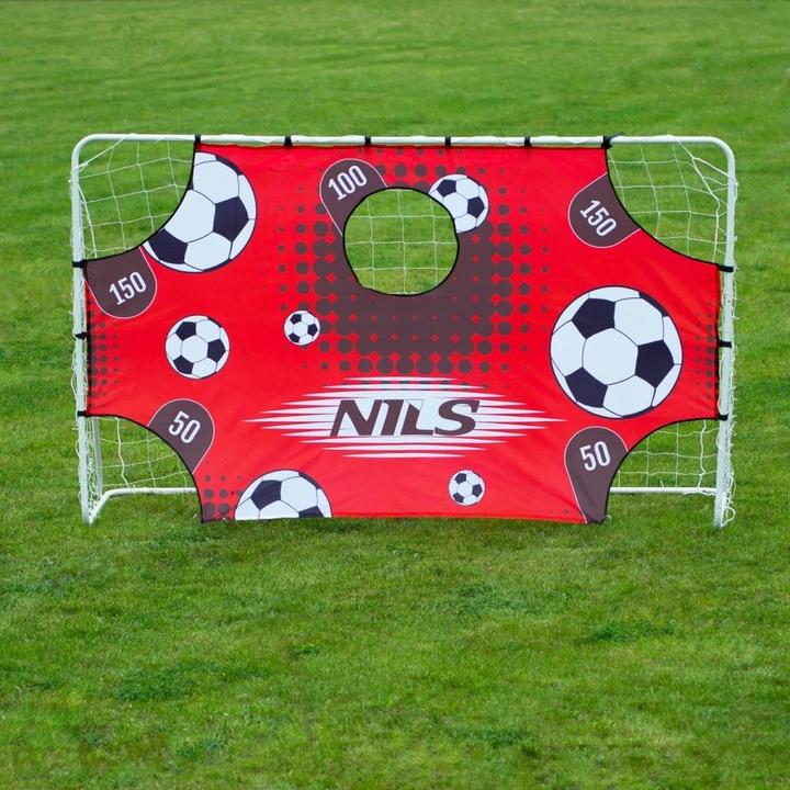 Actual product image Nils BR240P 2in1 GATE WITH NET AND TARGET DISC 240x150cm