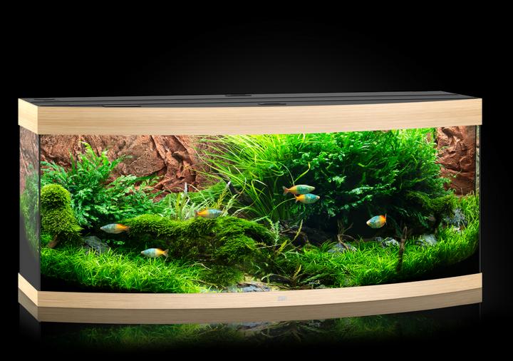 Actual product image Juwel Aquarium Aquarium Vision 450 (450 l)