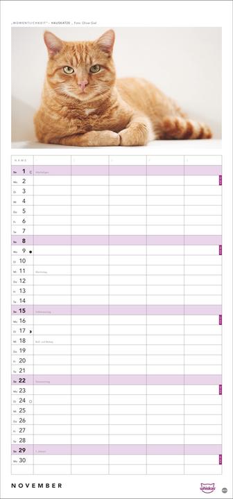 Image du produit Whiskas'Cattitude'Familienplaner2026 (21 x 45 cm, Couverture rigide, Allemand)