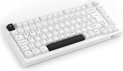 Image du produit Akko 5075B Plus S (DE, Filaire, Docking, Sans fil)