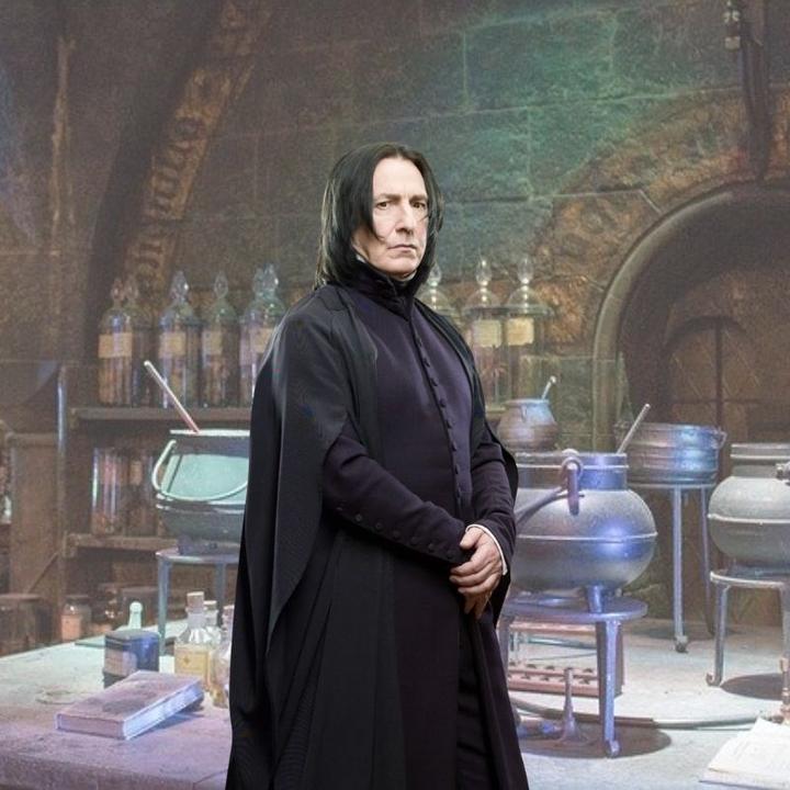 Actual product image Noble Collection Harry Potter Professor Snape's Wand Zauberstab