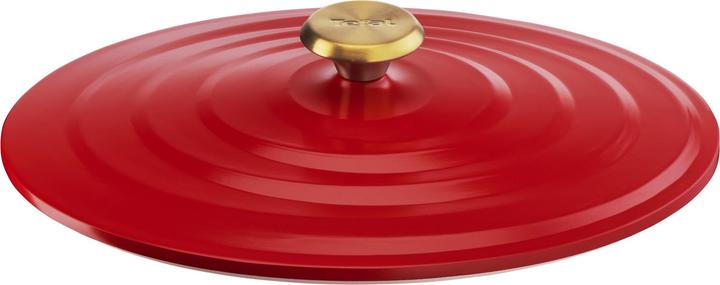 Actual product image Tefal E2548904 (Casserole + Stewpot, Cast aluminium)
