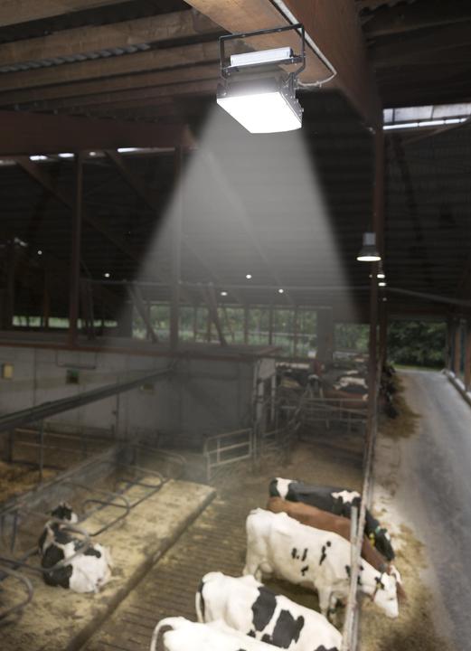 Produktbild Wetelux 150 W Multi LED Stall Leuchte, 3 Module 19.500 Lumen, IP65 / D- Kennzeichen
