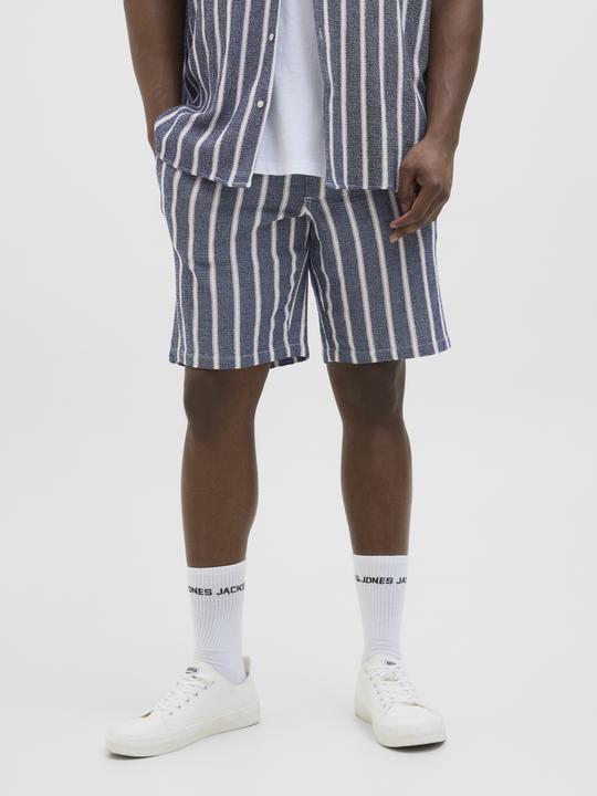 Produktbild Jack & Jones Jpstjaiden Coba Stripe Jog Short Sn Pls (40)