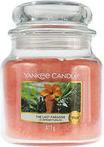 Produktbild Yankee Candle The Last Paradise (623 g)