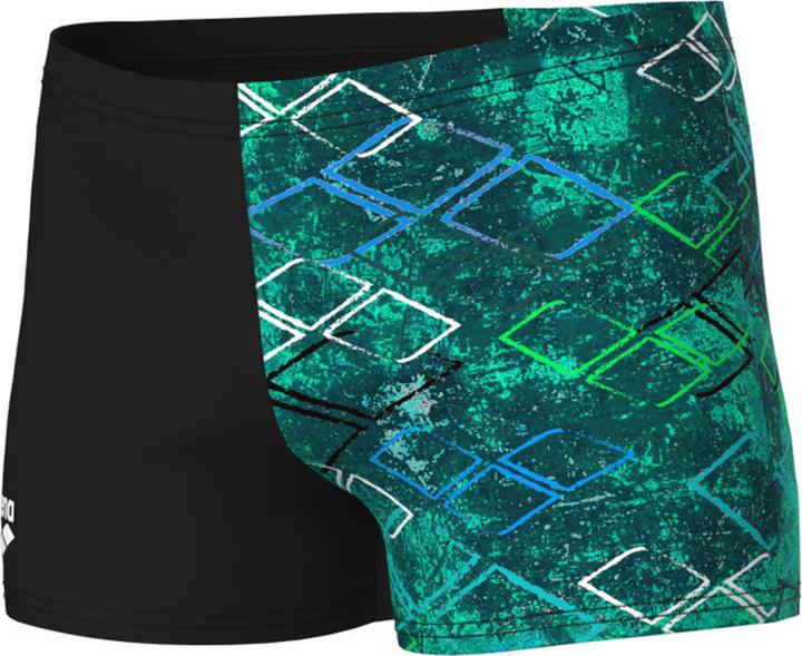 Arena B Daly Swim Short