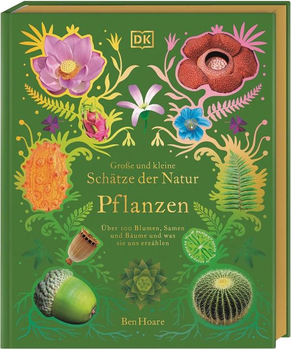 Produktbild Grosse und kleine Schätze der Natur. Pflanzen (Deutsch, Ben Hoare, 2023)