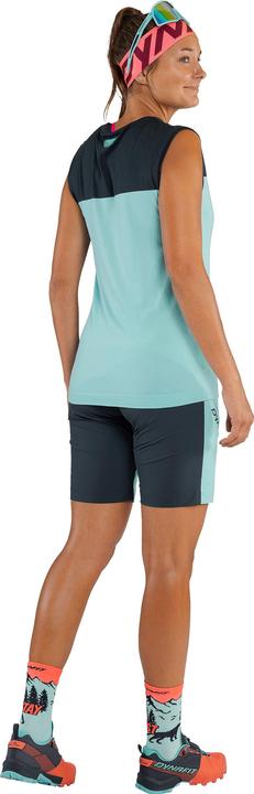 Actual product image Dynafit Traverse Dynastretch Shorts Ladies (XL)