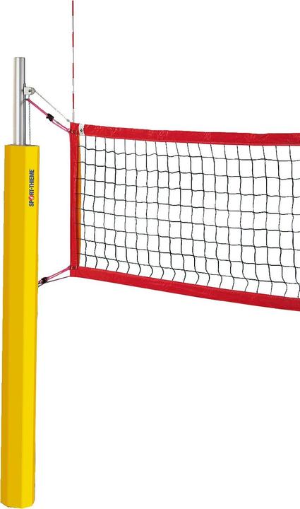 Sport-Thieme Beachvolleyball Antennengarnitur