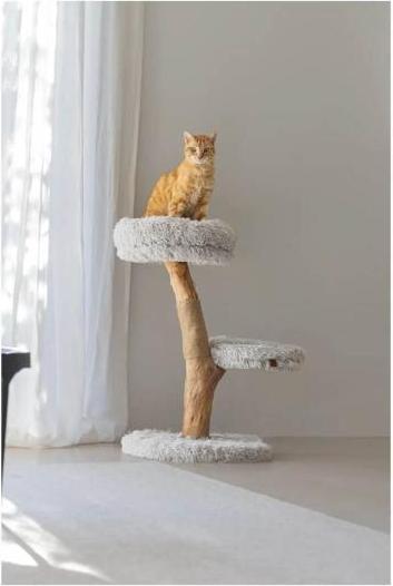 Produktbild Designed by Lotte Zora (72 cm, Gray, Natur)