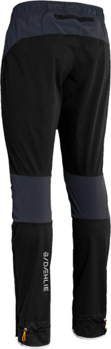 Produktbild Daehlie M Pants Advance Warm (M)