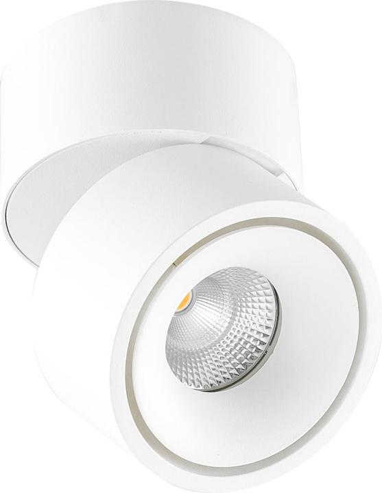 Actual product image EVN-Lichttechnik LED ceiling-mounted spotlight (1000 lm)