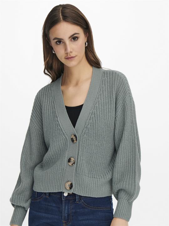 Image du produit JdY Cardigan court (L)