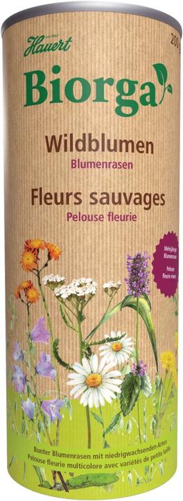 Actual product image Hauert Biorga flower lawn (Lawn reseed)