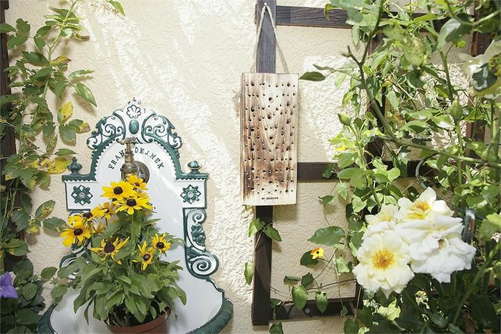Actual product image Windhager Wild bee wood (Wild bees)