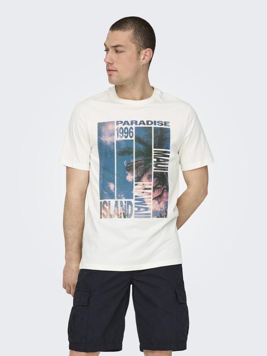 Actual product image Only & Sons T-Shirt Magdy Life Kurzarmshirt (S)