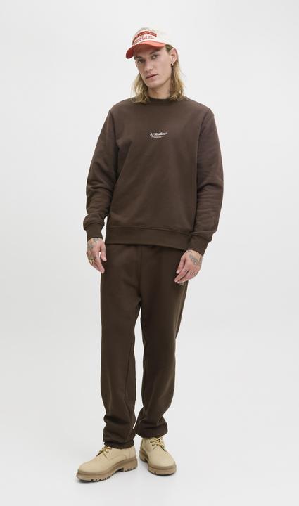 Actual product image Jack & Jones Regular Fit Relaxed Fit Hosen Relaxed Fit Hosen (XXL)
