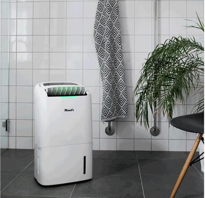 Image du produit Wood's Ad30 (120 m², 27 l/24h)
