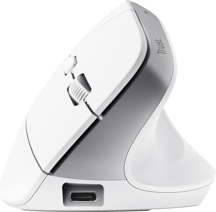 Actual product image Trust Bayo+ Ergonomic Wireless (Wireless)