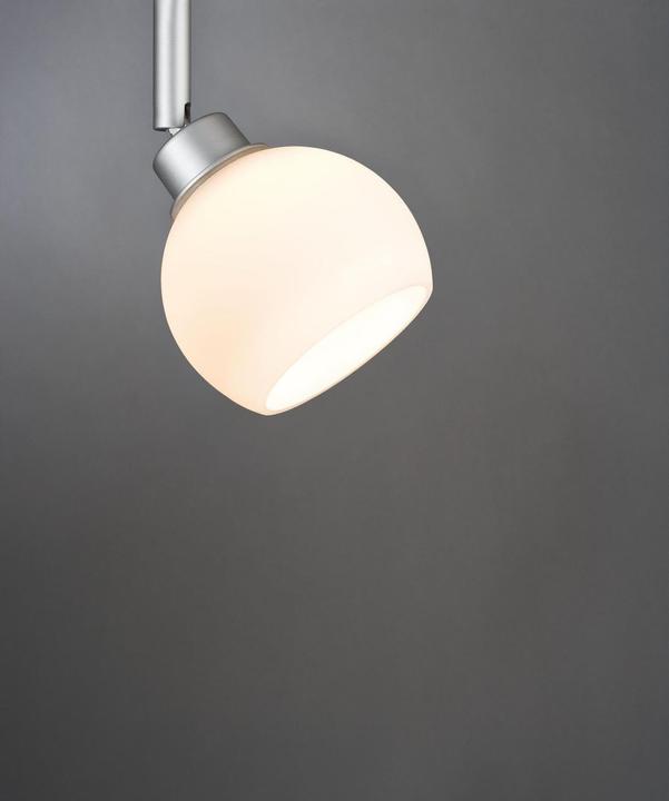 Image du produit Paulmann Wolbi