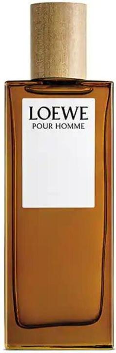 Actual product image Perfumes Loewe Pour Homme (Eau de toilette, 100 ml)