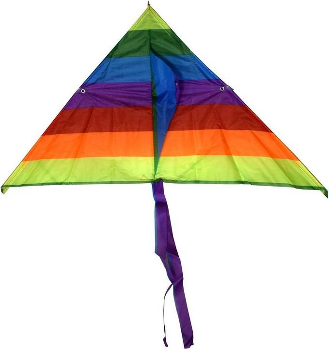 Produktbild PRO Bunter Drachen 68cm