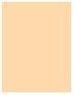 Actual product image L'Oréal Paris Perfect Match (1-2D Ivory Beige)