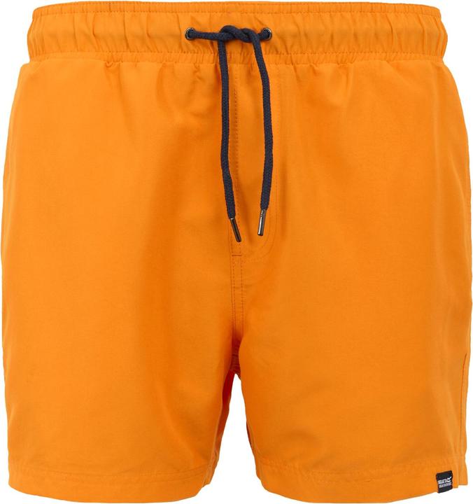 Regatta Mawson II Kurze Hose