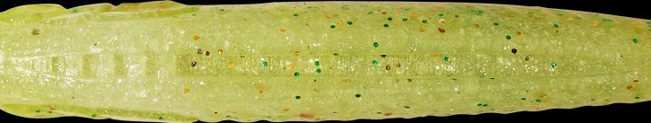 Produktbild Caperlan 338889 (9 cm)