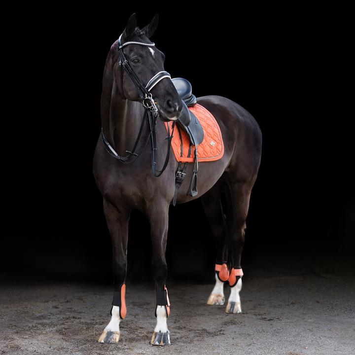 Image du produit HV Polo protège-boulets et tendons pour cheval classic