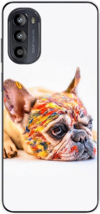 Bulldogge Bunt