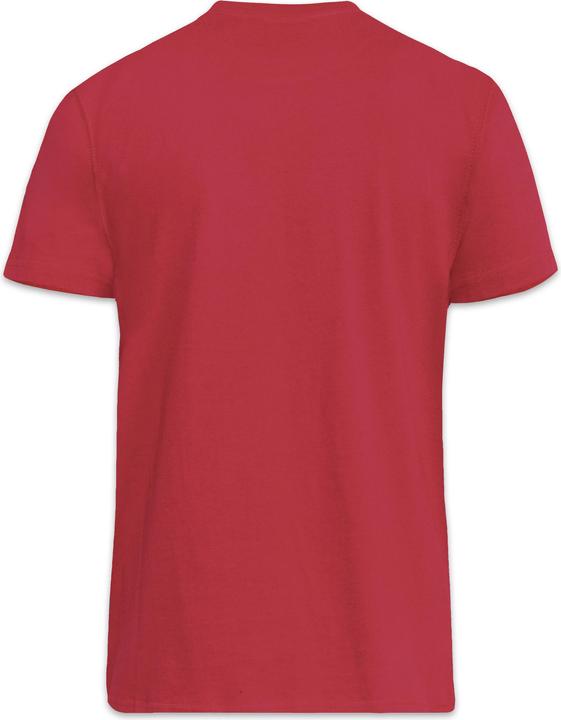 Actual product image DUKE TShirt Flyers2 with round neckline (L)