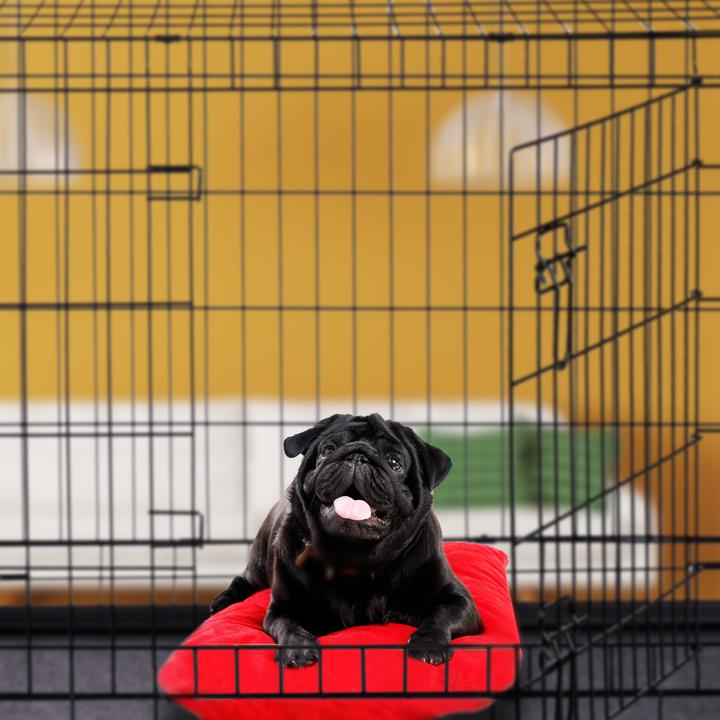 Actual product image Relaxdays Folding Dog Cage Size S-XXXL (Dog, Foldable)