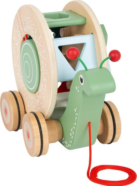 Actual product image small foot snail
