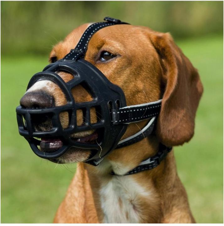 Actual product image Trixie Muzzle Muzzle Flex XL (XL, Dog, General)