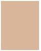 Immagine prodotto Sensai Silky Bronze Natural Veil compatto (SC01 Luce)