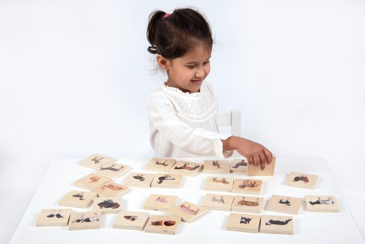 Image du produit TickiT Jeu de paires d'images d'animaux domestiques (Mémo) en bois (28 pièces) (Français, Allemand, Anglais, Italien)