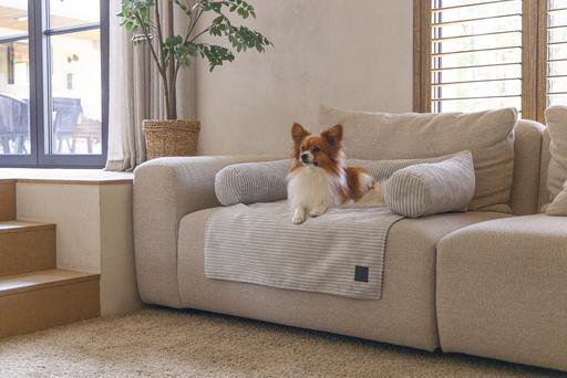 Image du produit Designed by Lotte Coussin de canapé Ribbed (Chien)