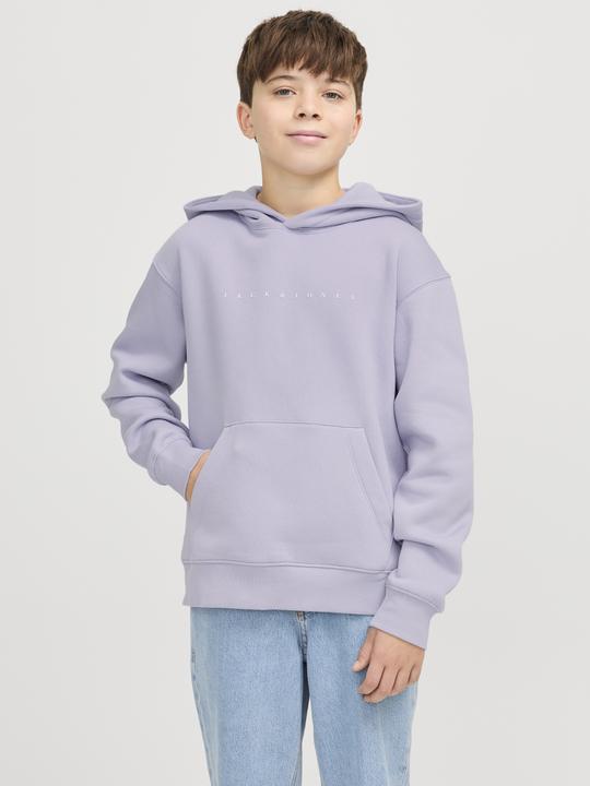 Actual product image Jack & Jones Jjestar Jj Sweat Hood Noos Jnr (128)
