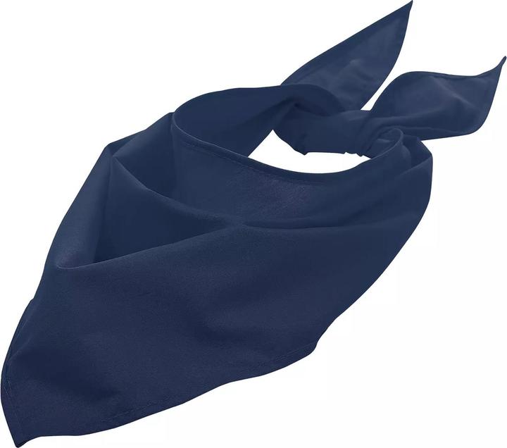 French Navy
