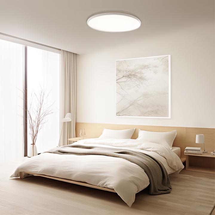 Productafbeelding Xiaomi Mi Smart Deckenleuchte D30 EU BHR9934GL
