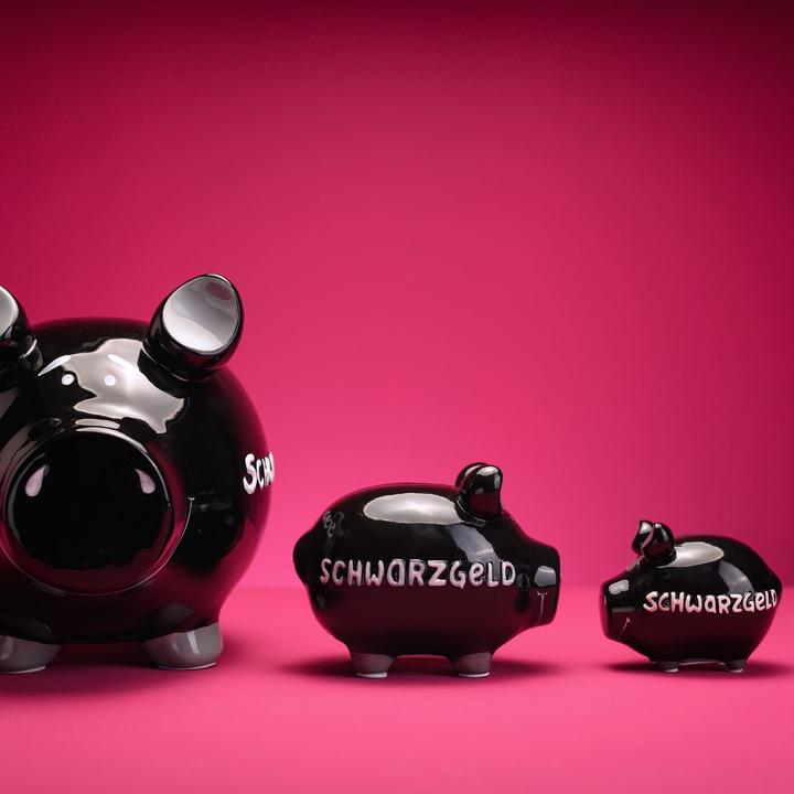 Image du produit G. Wurm Monster Sparschwein-Schwarzgeld (30 x 25 x 25 cm)