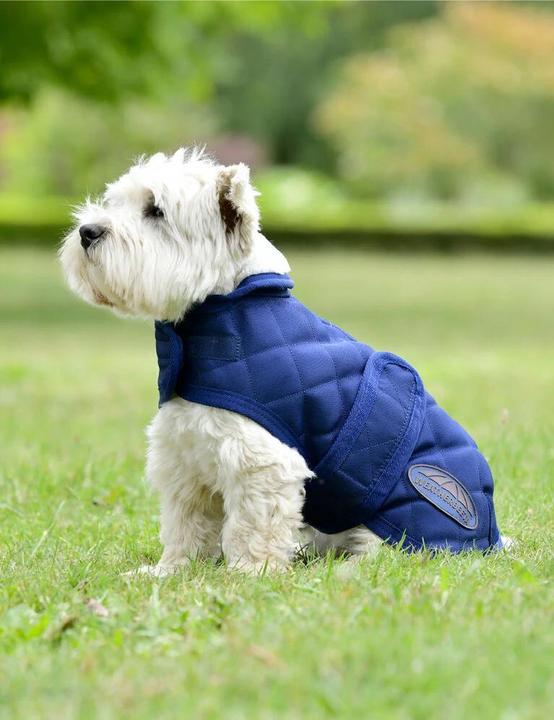 Actual product image Weatherbeeta Comfitec Deluxe Diamond (65, Dog coat)